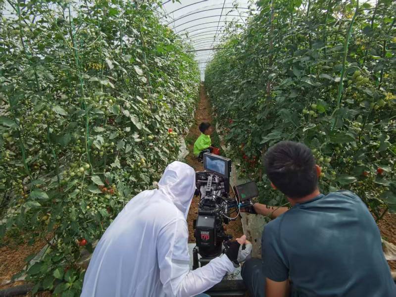 云霄县产品宣传视频拍摄公司进阶指南，助力品牌抢占传播高地